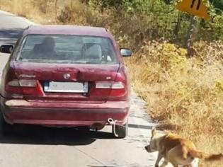 Φωτογραφία για Βρέθηκε το αυτοκίνητο που είχαν δέσει σκύλο και τον έσερναν – Άφαντος ο οδηγός