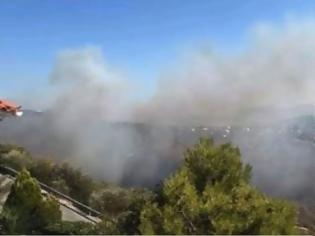 Φωτογραφία για 47 φωτιές μέσα σε 24 ώρες, πύρινο μέτωπο απείλησε σπίτια στην Πεντέλη Αρτέμιδα