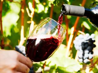 Φωτογραφία για Κόκκινο κρασί: Πως επηρεάζει το έντερο και την υγεία