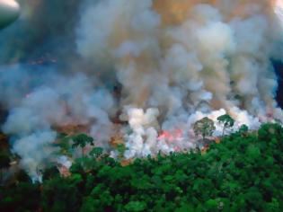 Φωτογραφία για Ποιοι και πώς επωφελούνται από την καταστροφή του δάσους στον Αμαζόνιο
