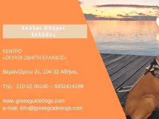 Φωτογραφία για Γνωριμία με το Ελληνικό Κέντρο Εκπαίδευσης και Ανάπτυξης Σκύλων Οδηγών και Κινητικότητας Τυφλών και Σκύλων Βοηθών για Άτομα με Αναπηρίες