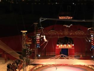 Φωτογραφία για ΔΕΘ 2019: Το τσίρκο Medrano επιστρέφει μετά από 40 χρόνια