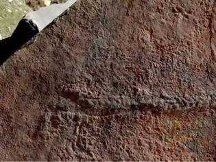 Φωτογραφία για Ανακαλύφθηκε απολίθωμα ζώου που σερνόταν πριν 550 εκατ. χρόνια στον βυθό