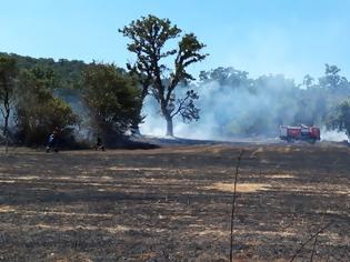 Φωτογραφία για Πυρκαγιά ξέσπασε σε δασική έκταση στα ΠΗΓΑΔΙΑ του Δήμου Ξηρομέρου.