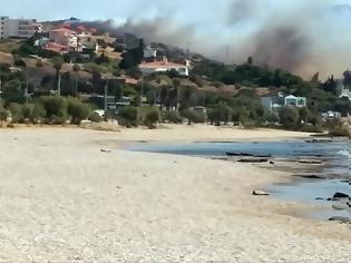 Φωτογραφία για Φωτιά ανάμεσα σε Λαγονήσι και Σαρωνίδα σε περιοχή με σπίτια - Έκκληση εκκένωσης της περιοχής.