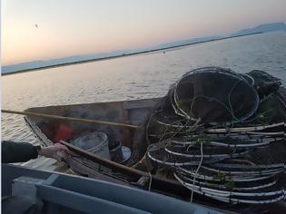Φωτογραφία για Έριξαν παράνομα δίχτυα για ψάρεμα στον Αμβρακικό Κόλπο