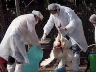 Φωτογραφία για Βουλγαρία: Εντατικοί έλεγχοι για την γρίπη των πτηνών