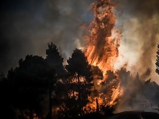 Φωτογραφία για Φωτιά σε δασική έκταση στον Βαρνάβα