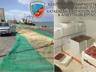 Φωτογραφία για Κατασχέθηκαν 4,5 τόνοι γαρίδας και αλιευμάτων