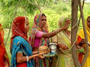 Φωτογραφία για Ινδία: Φυτεύουν 111 δέντρα για κάθε κορίτσι που γεννιέται