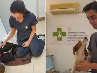 Φωτογραφία για Άξιοι “Κτηνίατροι Σε Δράση”: Στείρωσαν Και Τσίπαραν 128 Αδέσποτους Σκύλους Στις Σέρρες