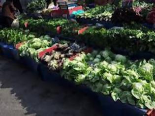 Φωτογραφία για Κατασχέθηκαν επτά τόνοι λαχανικά δηλητήριο από την Αλβανία