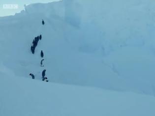 Φωτογραφία για Συγκλονίζει ο κάμεραμαν του BBC που «έσπασε» τους τηλεοπτικούς κανόνες και έσωσε τους πιγκουίνους στην Ανταρκτική