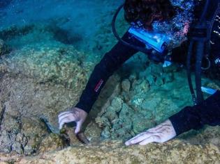 Φωτογραφία για Έρχονται τα πρώτα υποβρύχια μουσεία στην Ελλάδα - Πού θα ανοίξουν