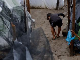 Φωτογραφία για Κως: Εκατοντάδες πρόσφυγες στοιβάζονται σε ανύπαρκτες υποδομές, σύμφωνα με ΜΚΟ