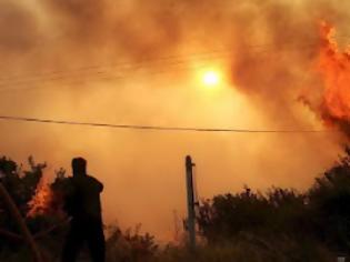 Φωτογραφία για ΣΤΟΝ ΕΙΣΑΓΓΕΛΕΑ ΟΙ ΠΕΝΤΕ ΣΥΛΛΗΦΘΕΝΤΕΣ ΓΙΑ ΤΙΣ ΦΩΤΙΕΣ