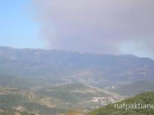 Φωτογραφία για Φωτιά στην Άνω Βασιλική Ναυπακτίας!