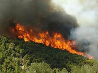 Φωτογραφία για Πυρκαγιά στο Καραθώνα Ναυπλίου