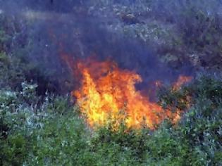 Φωτογραφία για Νεκρός πυροσβέστης στη φωτιά στον Ασπρόπυργο