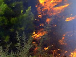 Φωτογραφία για Νεκρός 28χρονος πυροσβέστης στην πυρκαγιά του Ασπρόπυργου- Τρεις πυροσβέστες τραυματίες