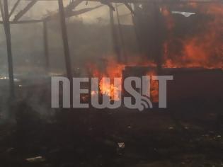 Φωτογραφία για Νεκρός 28χρονος πυροσβέστης στη φωτιά στην Ελευσίνα - Κάηκαν σπίτια στην Σαλαμίνα