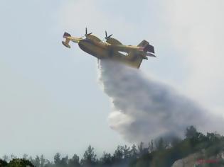 Φωτογραφία για Σε ύφεση η φωτιά στο Ναύπλιο