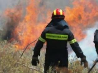 Φωτογραφία για Αχαϊα: Υπό μερικό έλεγχο η φωτιά στο Γιαννισκάρι