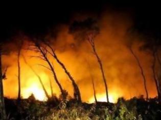 Φωτογραφία για Με τρία μαχαίρια στην πλάτη