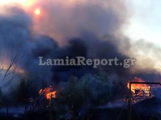 Φωτογραφία για Κινδύνεψαν σπίτια στη Λαμία από την πυρκαγιά το απόγευμα (Φώτο & Video)