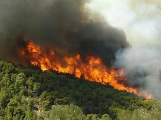 Φωτογραφία για Θήβα: Σε εξέλιξη η πυρκαγιά