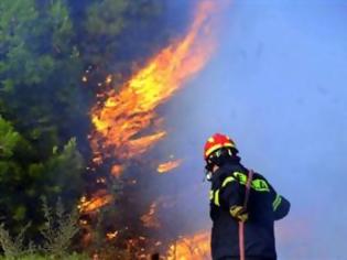 Φωτογραφία για Πατέρας 28χρονου πυροσβέστη: Αν υπήρχε ένα ασθενοφόρο, το παιδί μου θα ζούσε