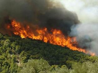 Φωτογραφία για Πυρκαγιά στο Αγνάντι Μεσσηνίας