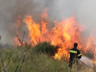 Φωτογραφία για Αχαία: Υπό έλεγχο η φωτιά στα Λαμπρέικα - Στις φλόγες και ακατοίκητο σπίτι στην Πάτρα