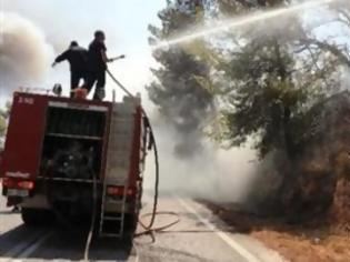 Φωτογραφία για Υπό πλήρη έλεγχο φωτιά στη Θεσσαλονίκη