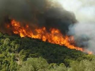 Φωτογραφία για Σε εξέλιξη η πυρκαγιά στο Αγνάντι Μεσσηνίας