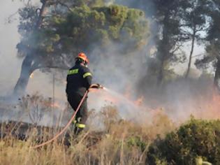 Φωτογραφία για Πυρκαγιά σε εξέλιξη στο Ναύπλιο