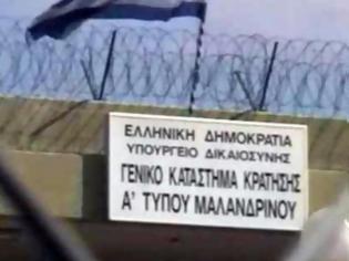 Φωτογραφία για Βρήκαν χασισοφυτεία μέσα στις… φυλακές Μαλανδρίνου!