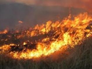 Φωτογραφία για Υπό μερικό έλεγχο η πυρκαγιά στο Σχιστό Κορυδαλλού