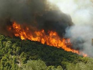 Φωτογραφία για Σε ύφεση η φωτιά στην Κάντια Αργολίδας