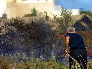 Φωτογραφία για Σε ύφεση η φωτιά στην Κάντια Αργολίδας