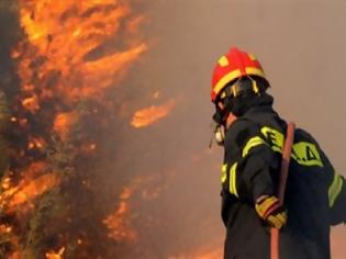 Φωτογραφία για Μεγάλη φωτιά στο Νεοχώρι-15φορές έχουν κάψει την περιοχή!