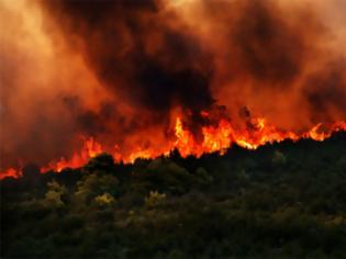 Φωτογραφία για Φωτιά στην Αχλαδερή