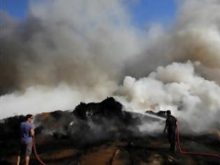 Φωτογραφία για Υπό μερικό έλεγχο η φωτιά στην Αργολίδα