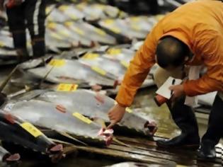Φωτογραφία για Πρώτη κατανάλωση θαλασσινών μετά το πυρηνικό ατύχημα στη Φουκουσίμα!