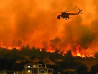 Φωτογραφία για Η εγκατάλειψη ανάβει τις φωτιές στα δάση: Από το 2010 έχουν να κάνουν προσλήψεις!