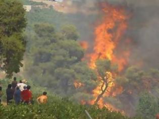 Φωτογραφία για Σε εξέλιξη πυρκαγιά στη Φθιώτιδα