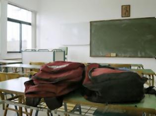 Φωτογραφία για Ευρωβουλευτής Ν.Δ. κ.Γ.Παπανικολάου: Χρειάζονται πρόσθετα μέτρα για την αντιμετώπιση της πρόωρης σχολικής εγκατάλειψης στην Ελλάδα
