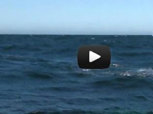 Φωτογραφία για Φάλαινα «εκτόξευσε» ουράνιο τόξο [Video]