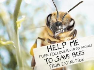 Φωτογραφία για Προστατεύοντας τις μέλισσες, προστατεύουμε τους ανθρώπους