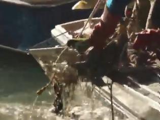 Φωτογραφία για Βενετία: Οι γονδολιέρηδες έγιναν... δύτες για να καθαρίσουν το Μεγάλο Κανάλι